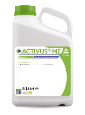 Activus ME x lt.5