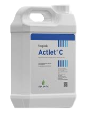Actlet C x lt.10