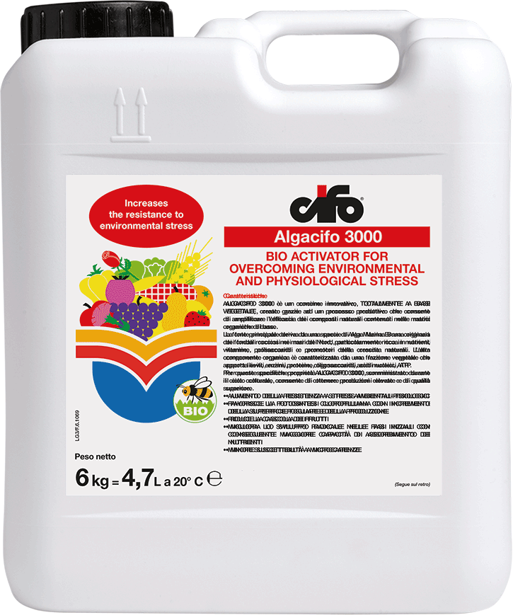 AlgaCifo 3000 x kg.6