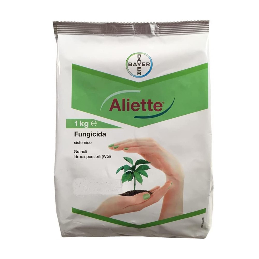 Aliette x kg.1