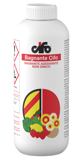 Bagnante Cifo x lt.1