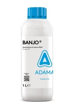 Banjo x lt.1