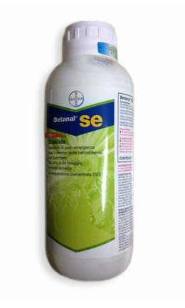Betanal SE x lt.1
