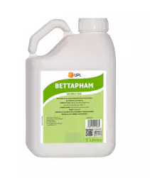Bettapham x lt.5