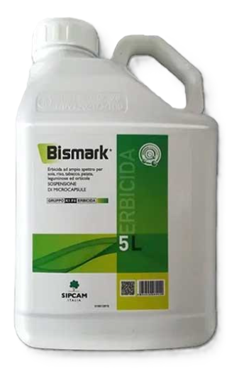 Bismark x lt.5