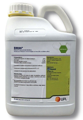 BM 86 x lt.5