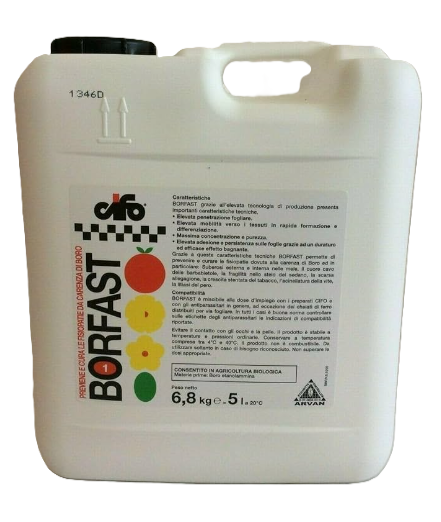 Borfast x lt.5