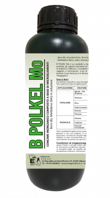B-Polkel Mo x kg.6