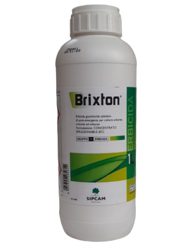 Brixton x lt.1