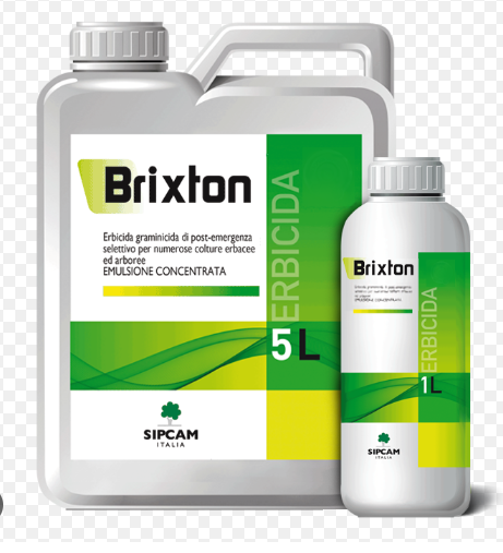 Brixton x lt.1
