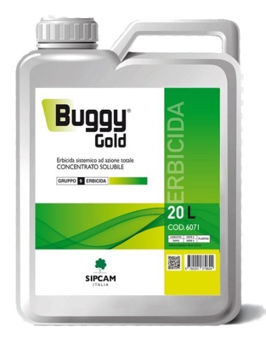 Buggy Gold x lt.20