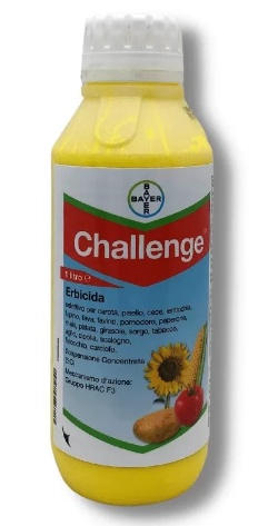 Challenge x lt.1