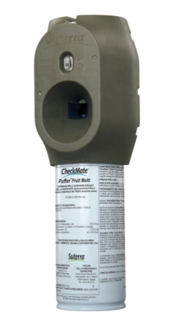 CheckMate Puffer Fruit Multi x g
