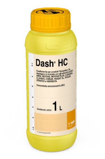 Dash HC x lt.1