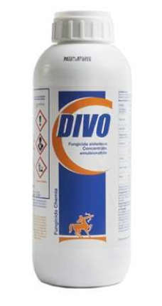 Divo x lt.1