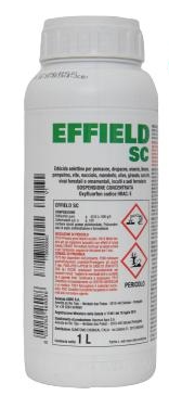 Effield SC x lt.1