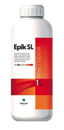 Epik SL x lt.1
