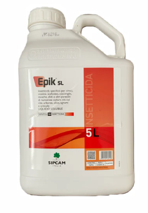 Epik SL x lt.5