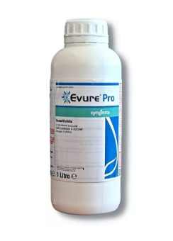 Evure Pro x lt.1