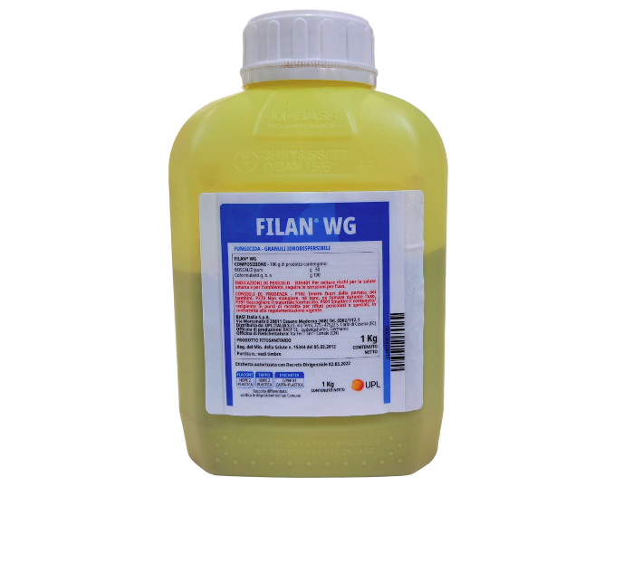 Filan WG x kg.1