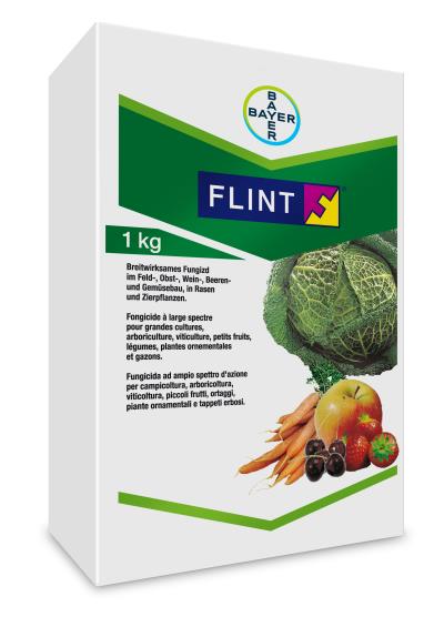 Flint x kg 1