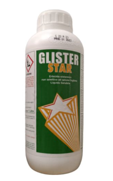 Glister Star x lt.1