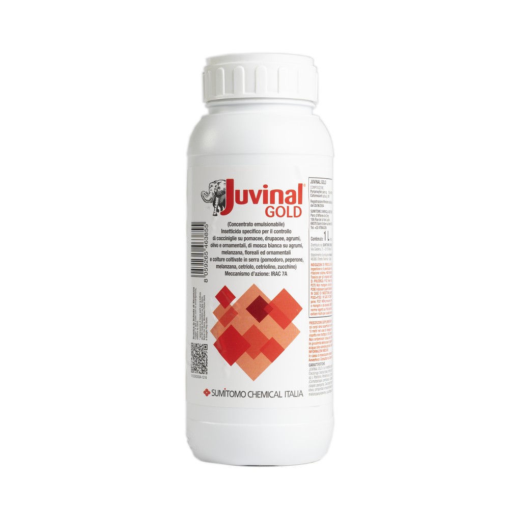 Juvinal Gold x lt.1