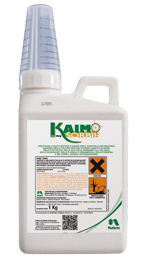 Kaimo Sorbie x kg.1