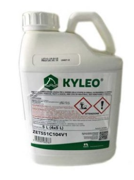 Kyleo x lt.5