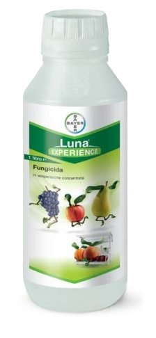 Luna Experience x lt.1