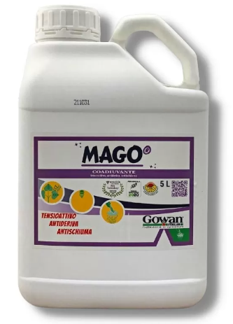Mago x lt.5