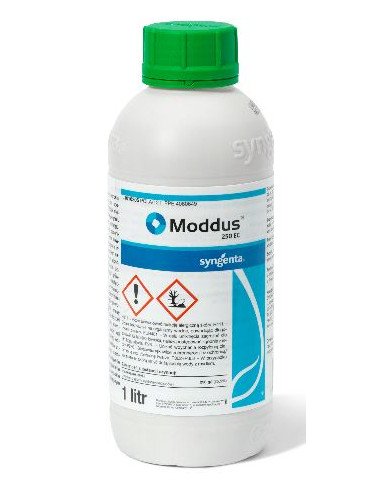 Moddus x lt.1