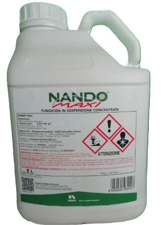 Nando Maxi x lt.5