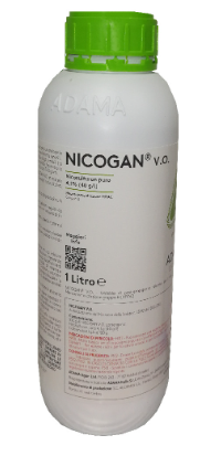 Nicogan V.O. x lt.1