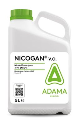 Nicogan V.O. x lt.5