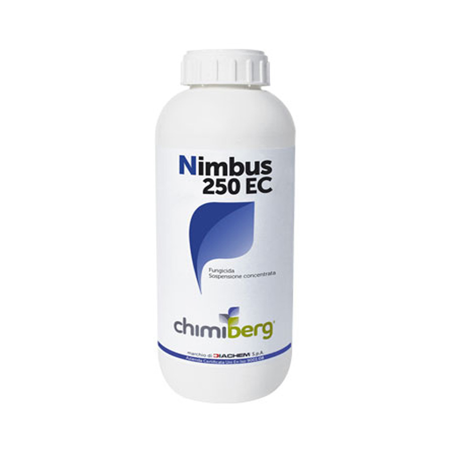Nimbus 250 EC x lt.1