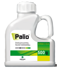 Palio x kg.0,500