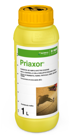 Priaxor x lt.1
