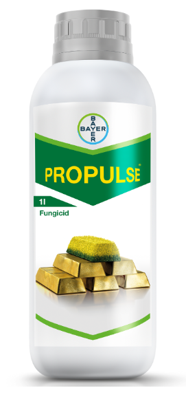 Propulse x lt.1