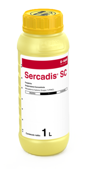 Sercadis SC x lt.1