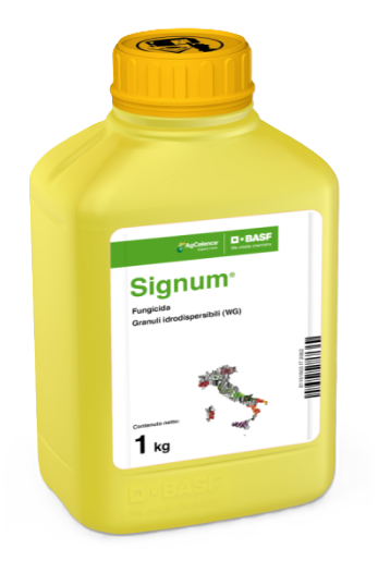 Signum x kg.1