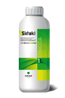 Sirtaki x lt.1
