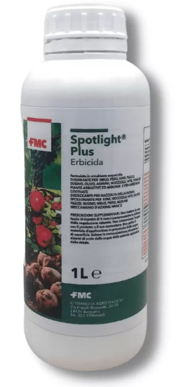 Spotlight Plus x lt.1