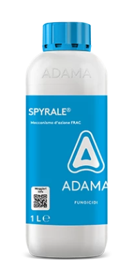 Spyrale x lt.1