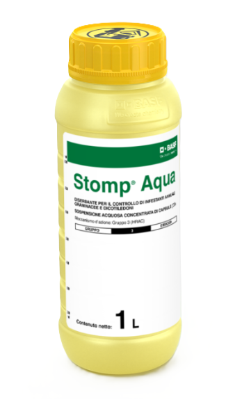 Stomp Aqua x lt.1