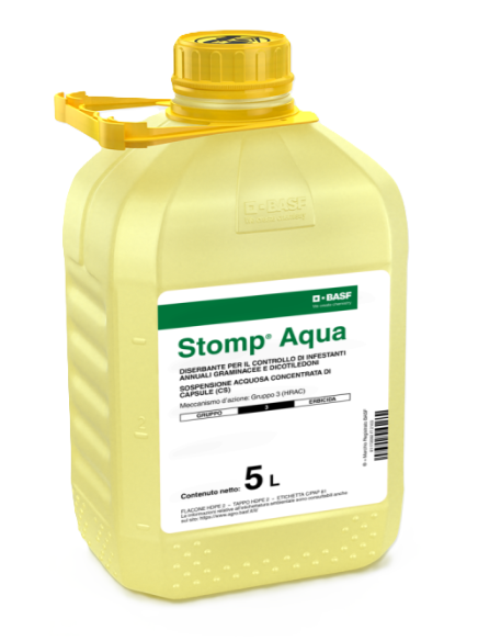 Stomp Aqua x lt.5
