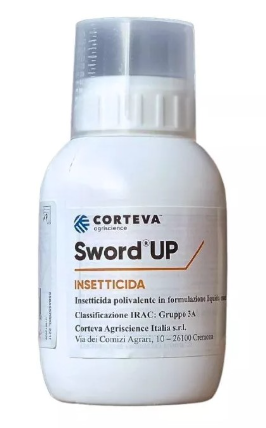 Sword Up x lt.0,5
