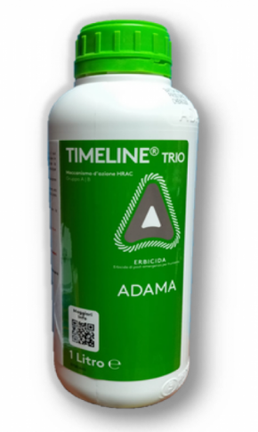 Timeline Trio x lt.1