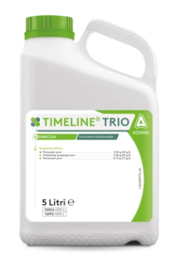 Timeline Trio x lt.5