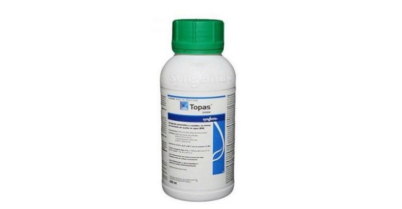 Topas 200 EW x lt.0,5